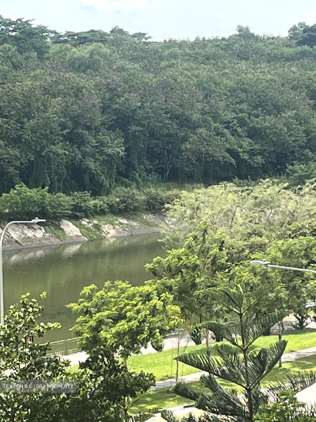 Riverfront Residences (D19), Apartment #506557231
